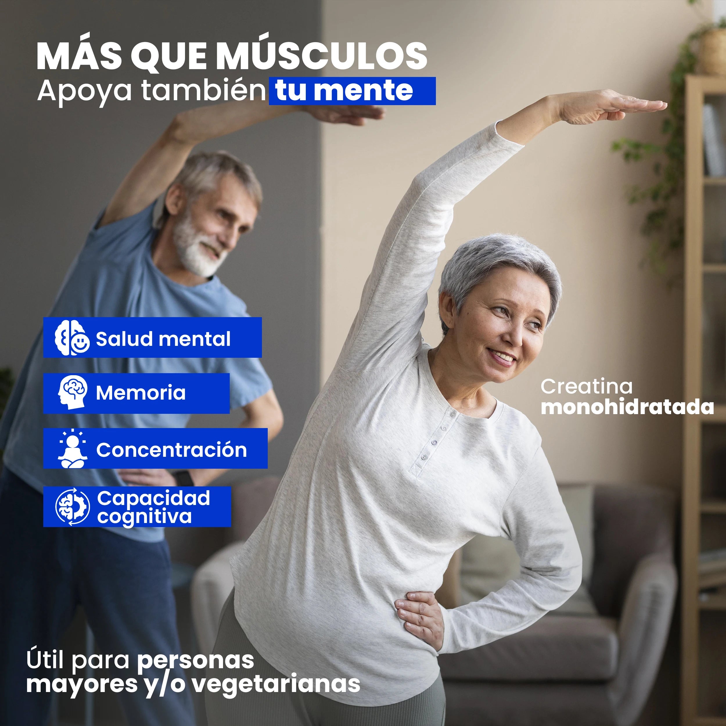 Creatine monohydrate powder 306g (90 doses) - pure creatine without flavor - sports supplement for muscle mass - without additives or allergens